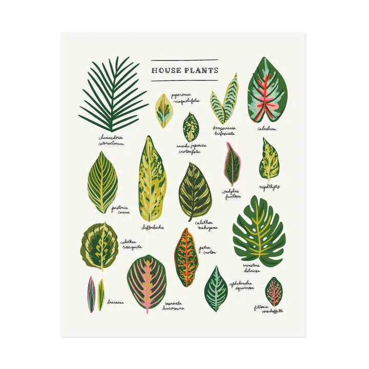 The House Plants Art Print - White