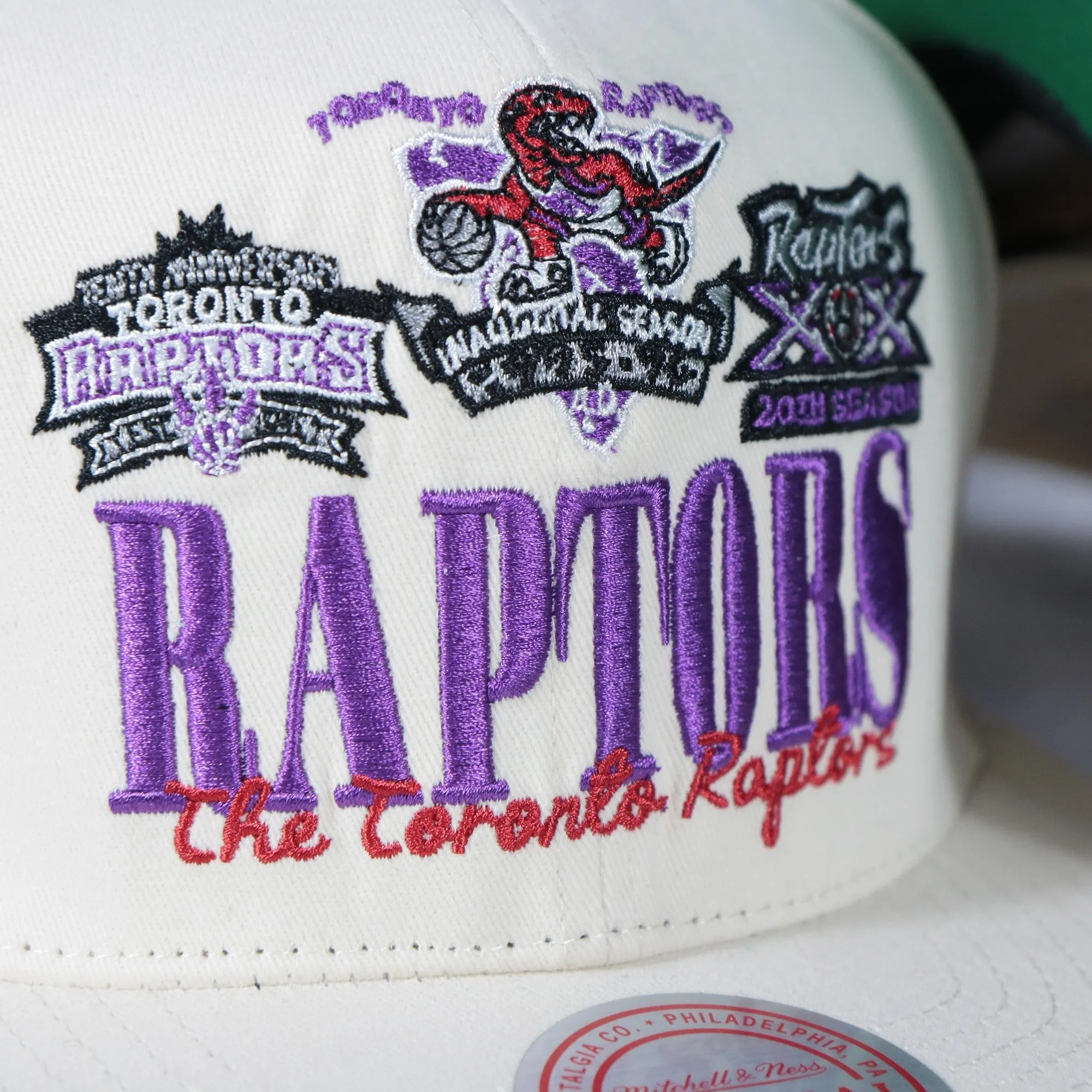 Toronto Raptors Hardwood Classics Reframe Retro Green bottom | Off-White Snapback Hat